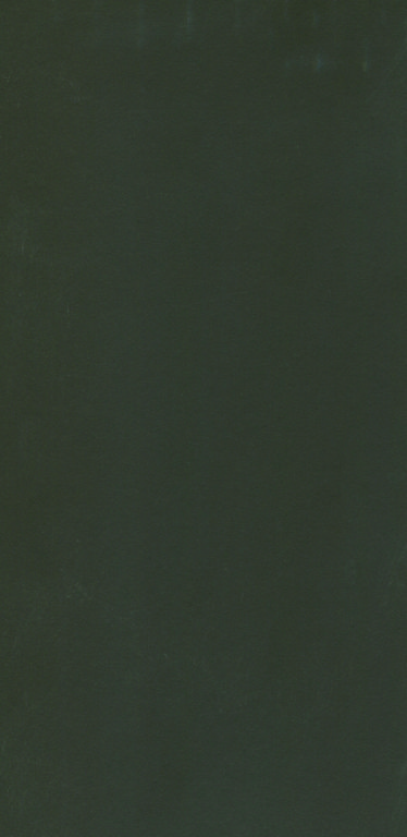 L 125 NCS 7010-Y30R