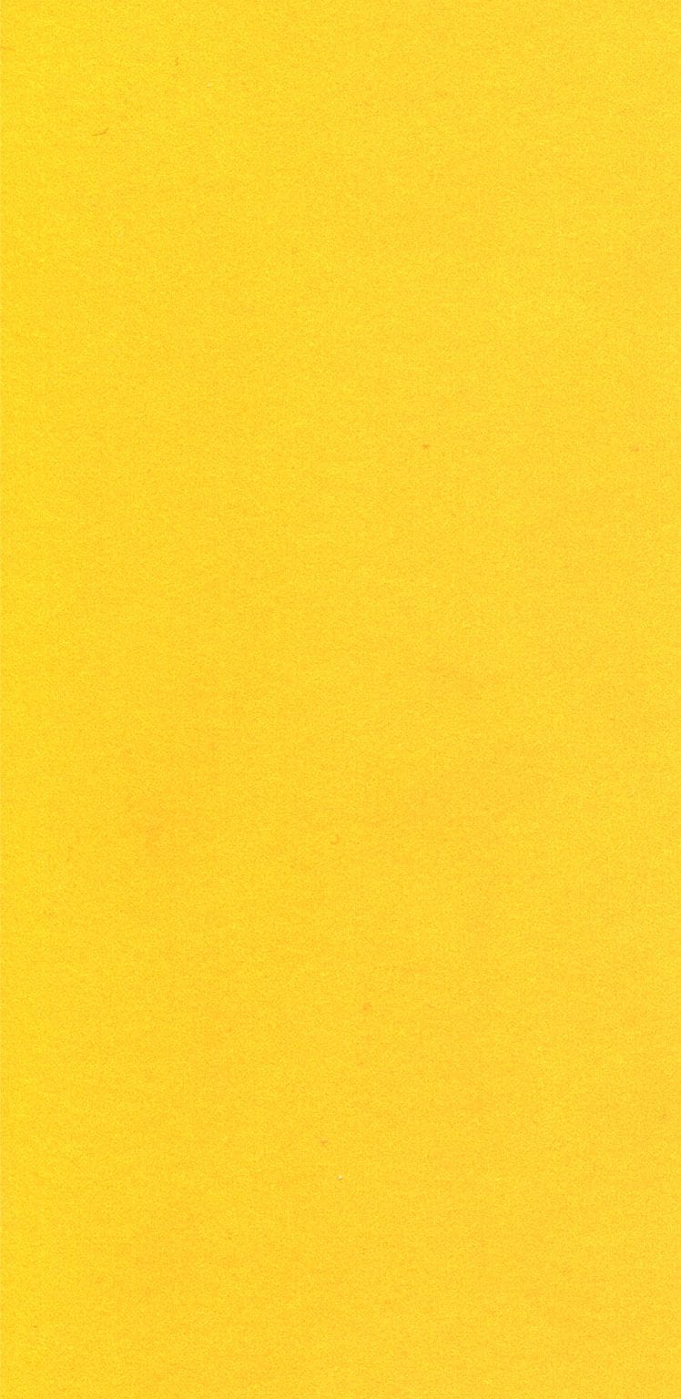L1123 NCS 0560-Y10R