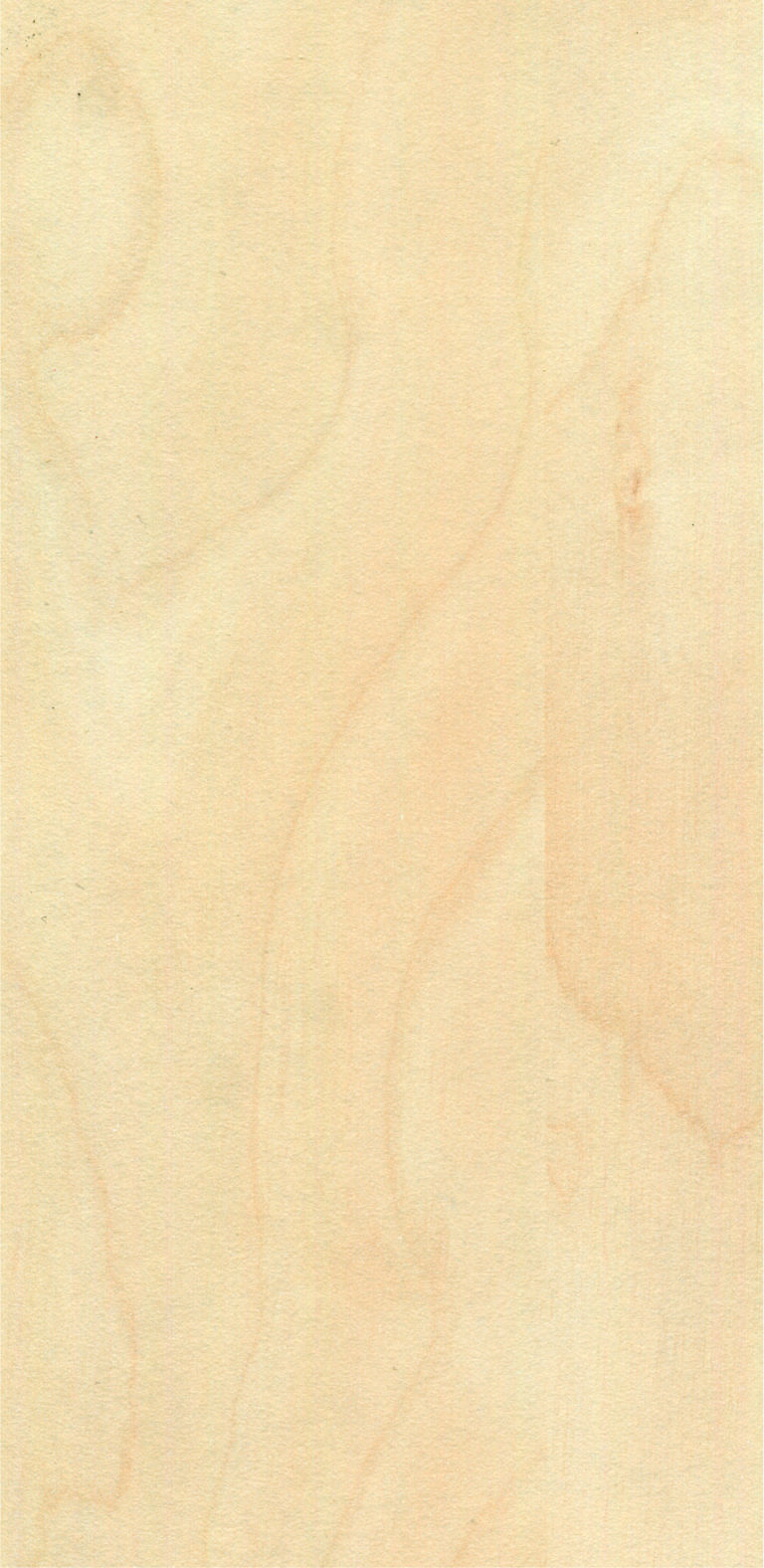 L600 Glas Björk
